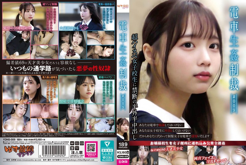 【ydns00009】｜電車生姦制裁 ＃009